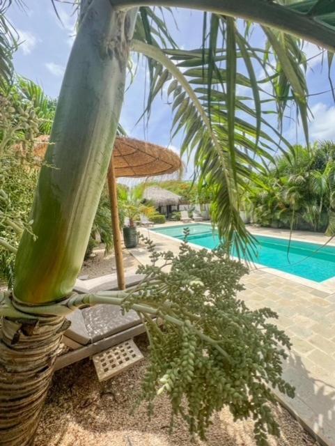 Puur Bonaire Boetiekhotel Belnem Zewnętrze zdjęcie