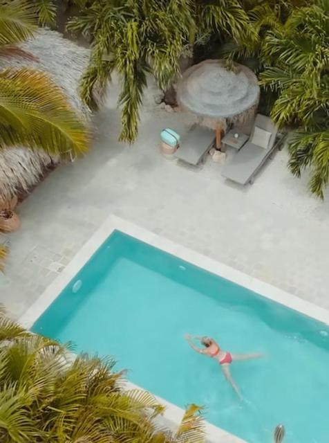 Puur Bonaire Boetiekhotel Belnem Zewnętrze zdjęcie